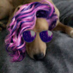 Meet your Posher, Claudia